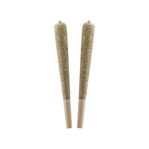 STANDARD ISSUE - BING CHERRY DISTILLATE INFUSED PRE-ROLLS
